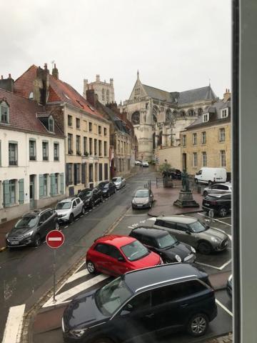 Les Dames Au Chapeau Vert Saint-Omer  Bagian luar foto